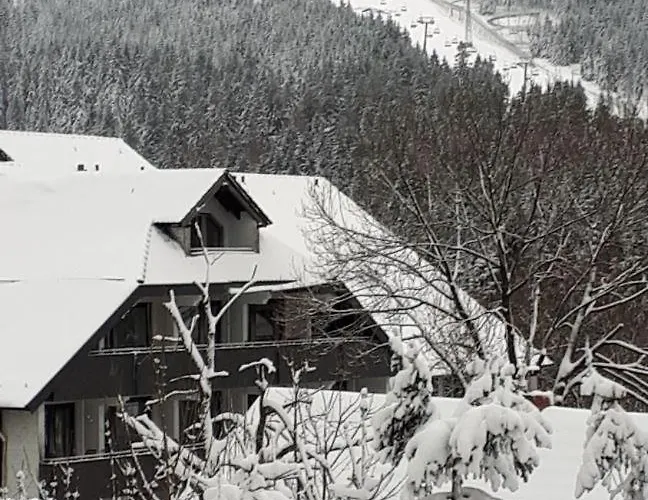 Steffens Hahnenklee 25