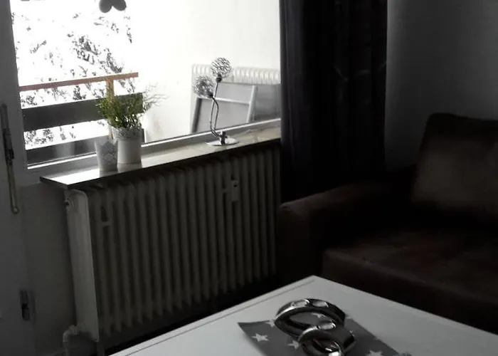 Steffens Hahnenklee 25 公寓 戈斯拉尔